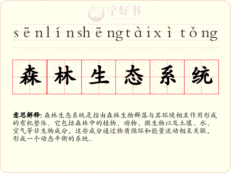 森林生态系统