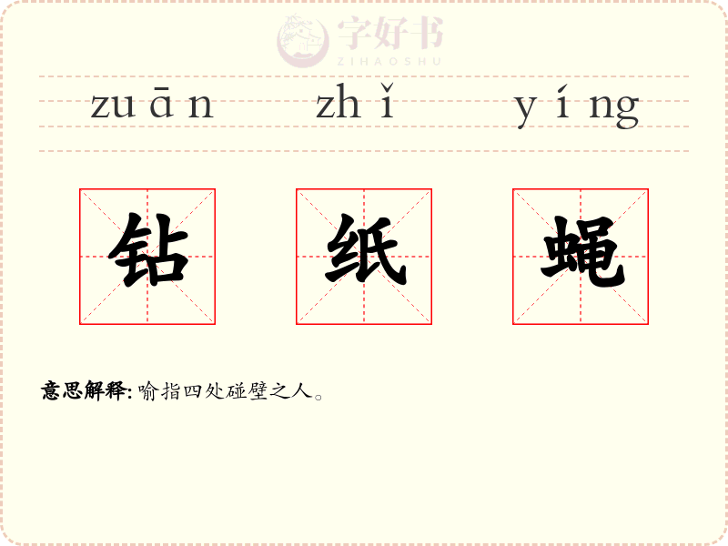 钻纸蝇