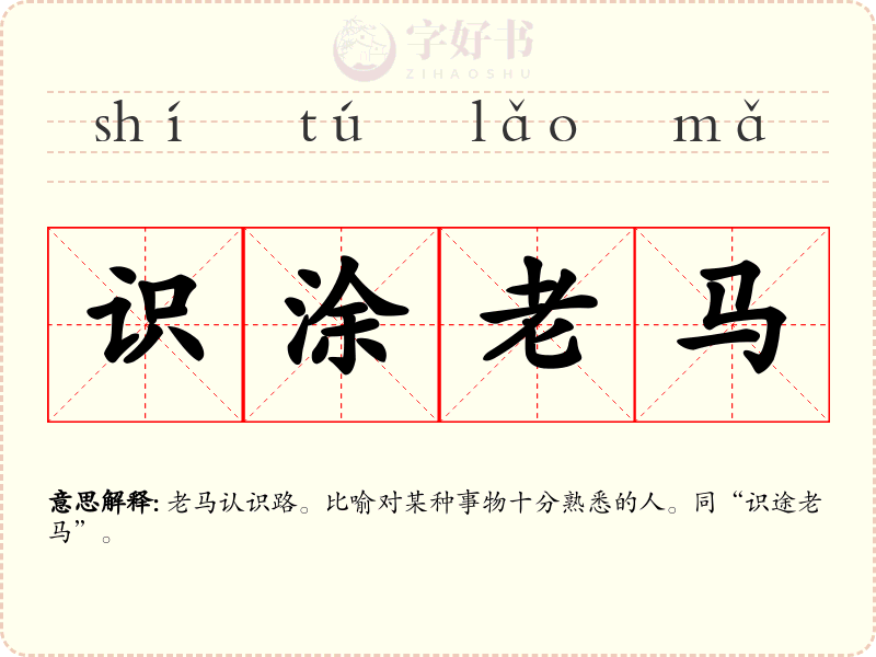 识涂老马