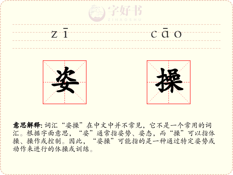 姿操