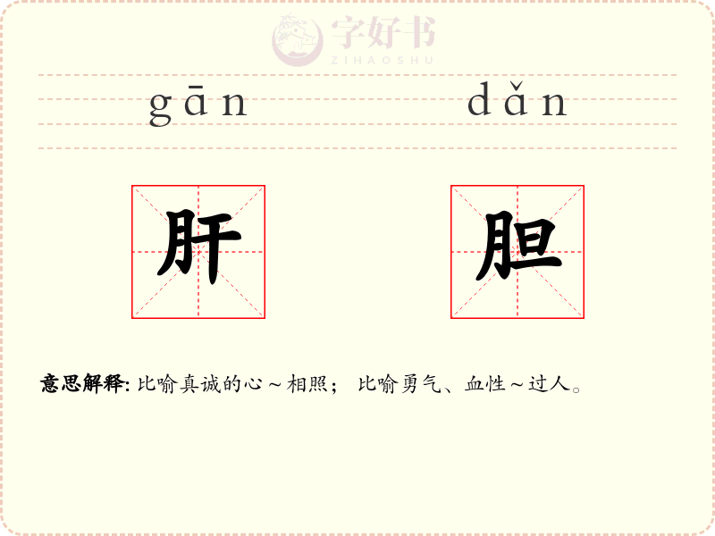 肝胆