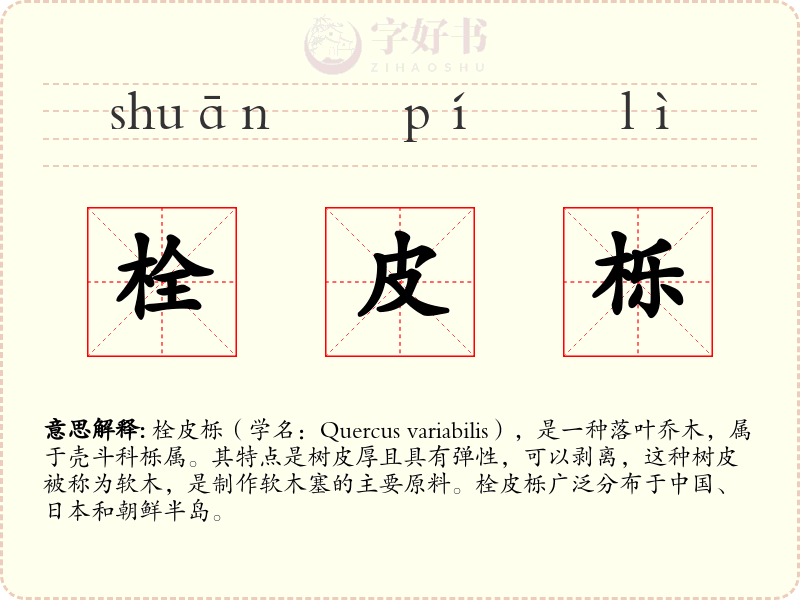 栓皮栎