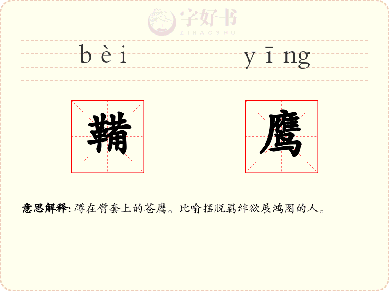 鞴鹰