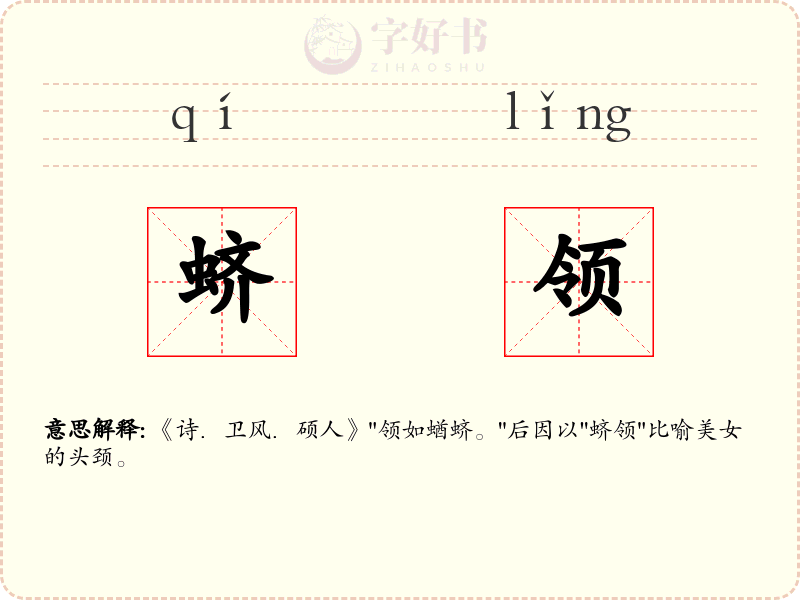 蛴领