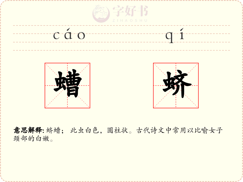 螬蛴