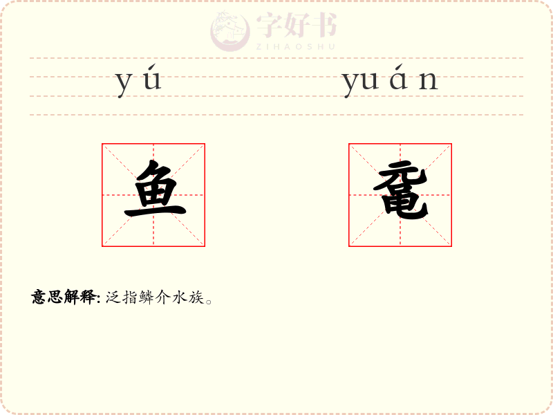 鱼鼋