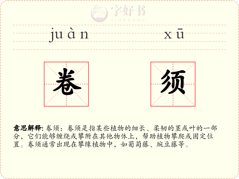 卷须