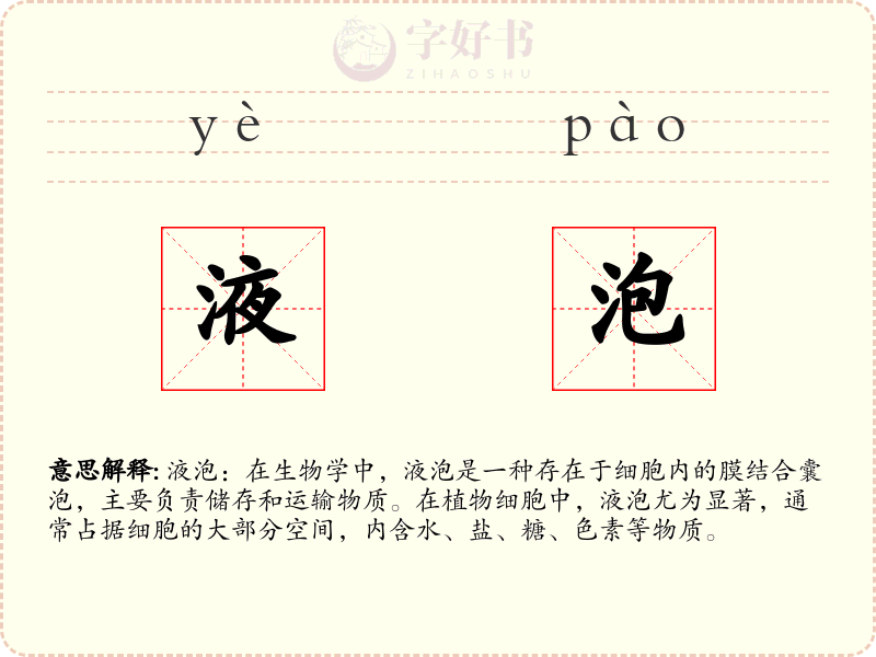 液泡