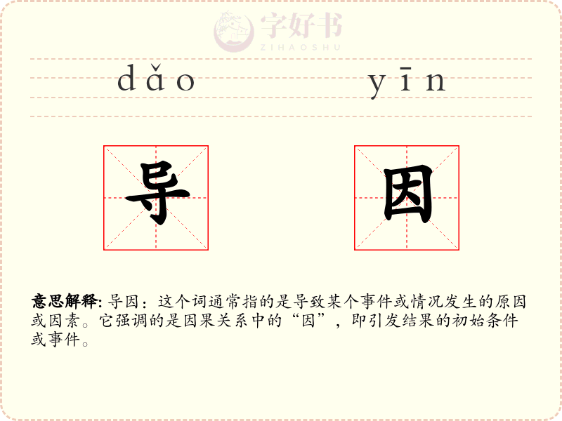 导因