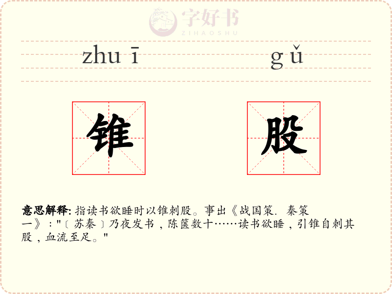 锥股