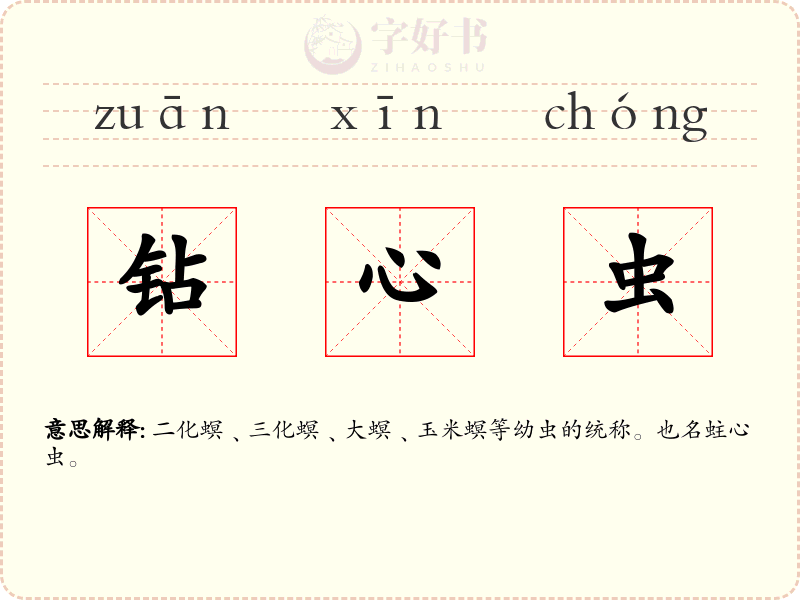 钻心虫
