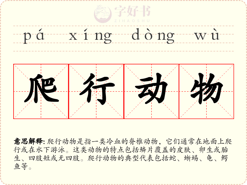 爬行动物
