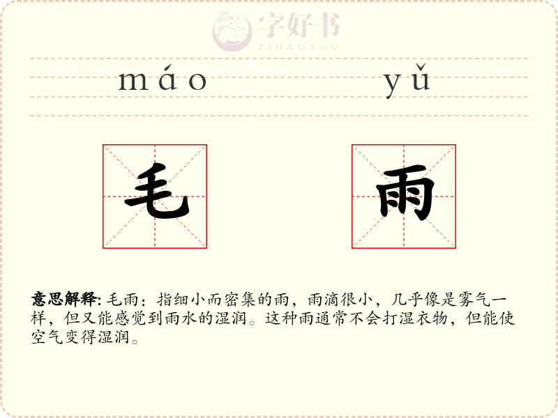 毛雨