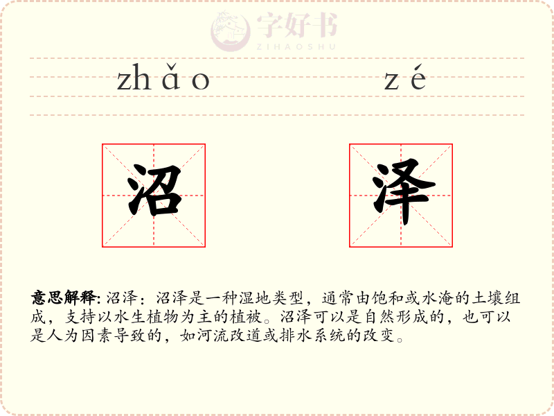 沼泽