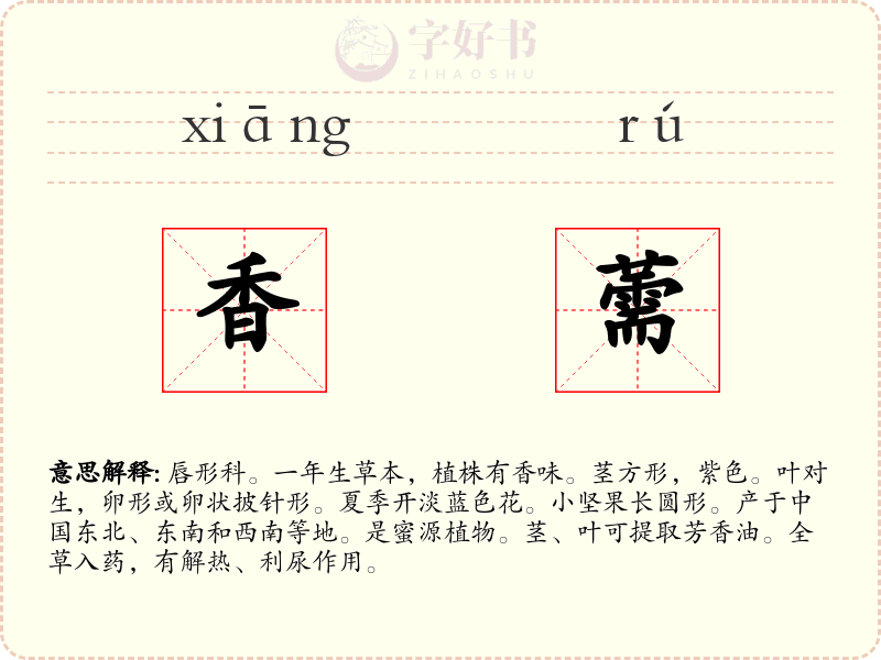 香薷