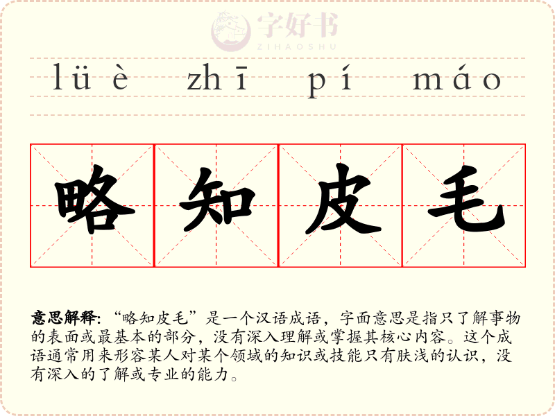 略知皮毛