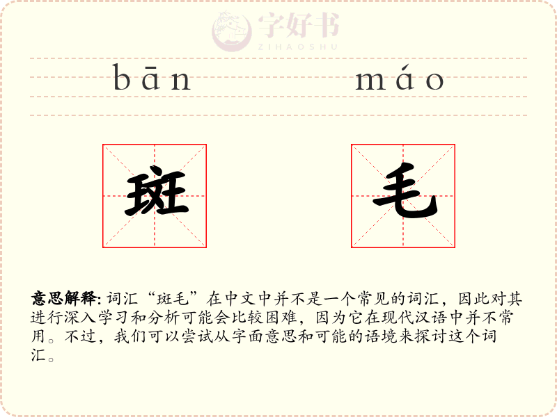 斑毛