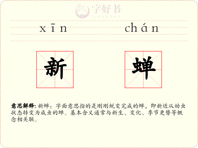 新蝉