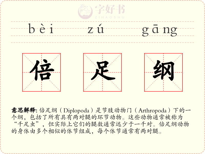 倍足纲