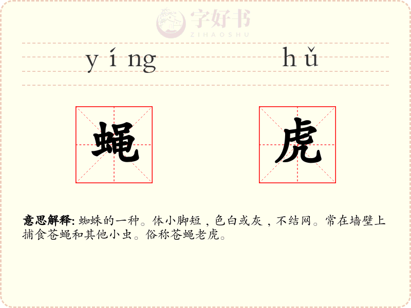 蝇虎