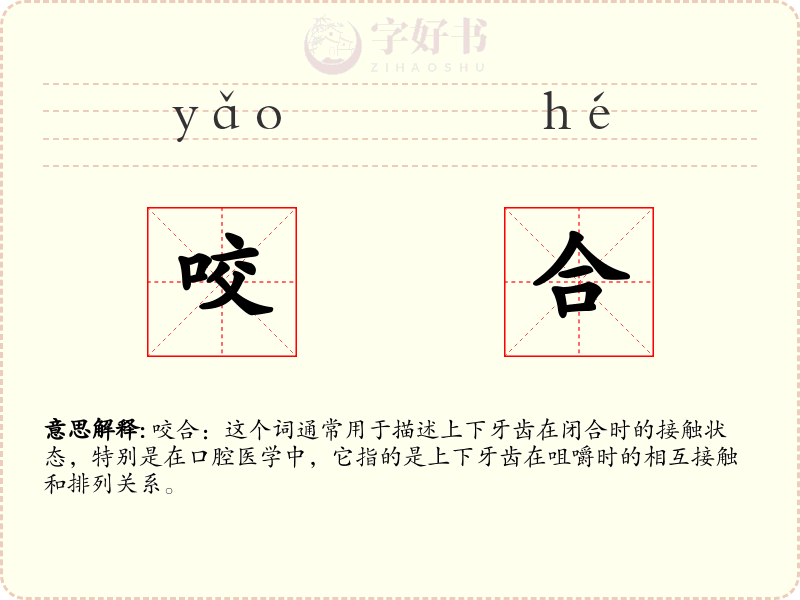 咬合