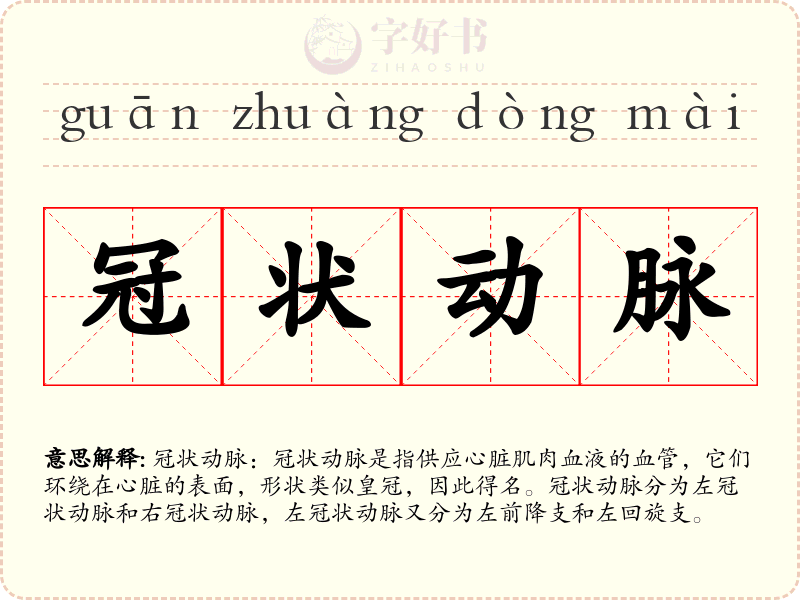 冠状动脉