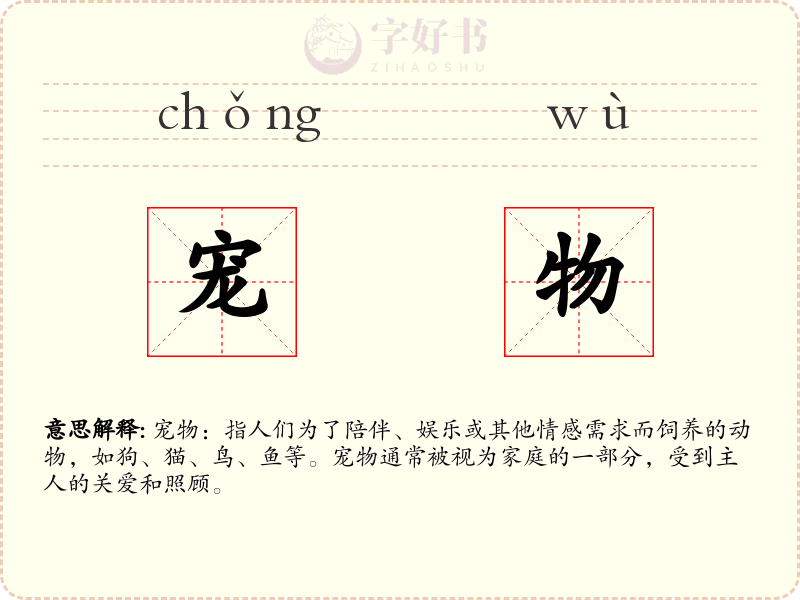 宠物