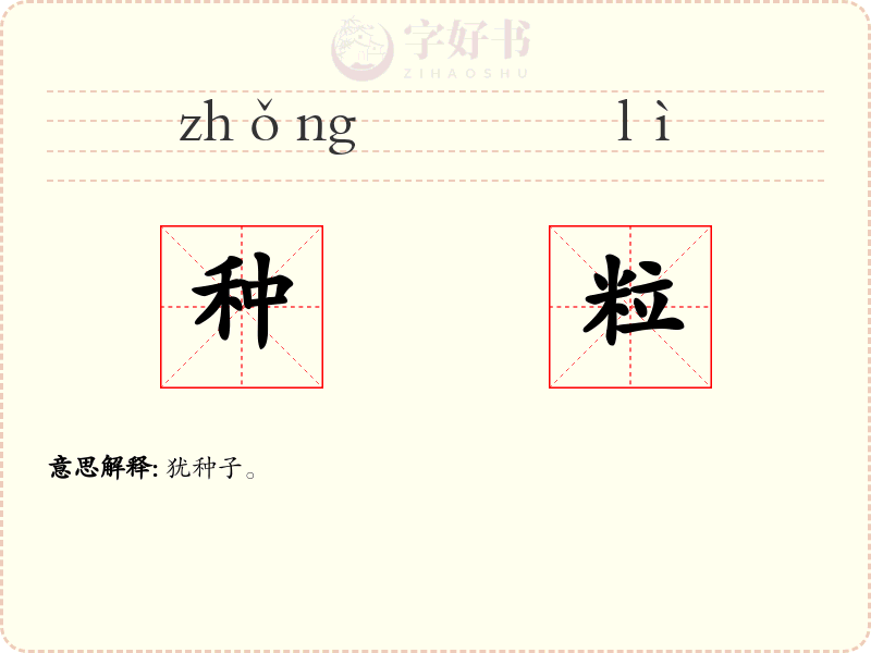 种粒
