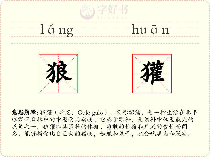 狼獾