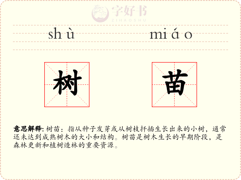 树苗