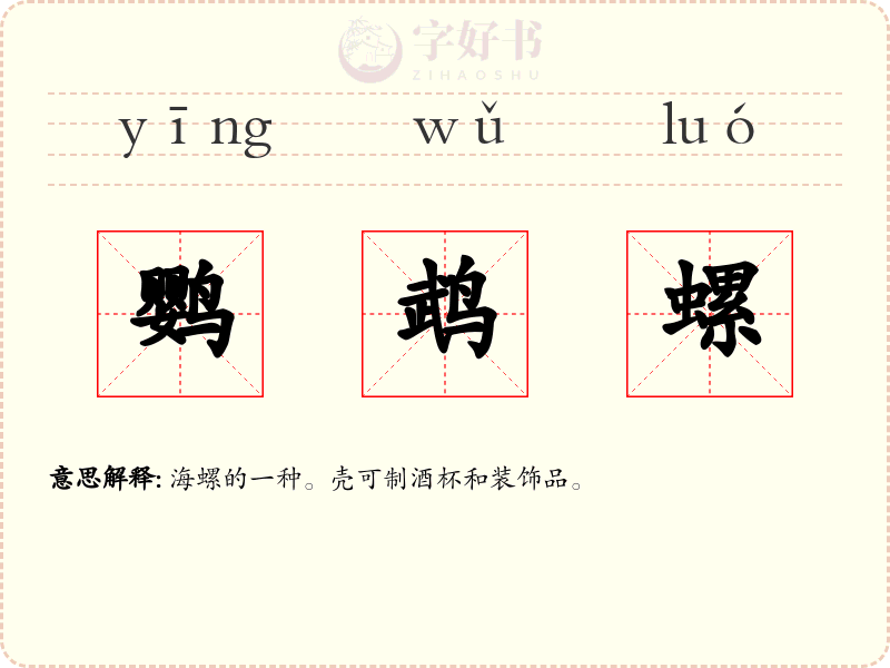 鹦鹉螺