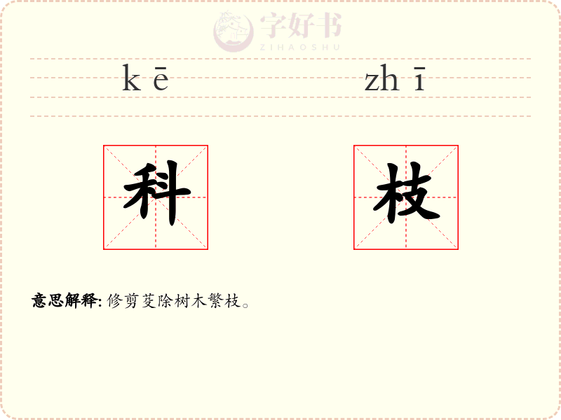 科枝