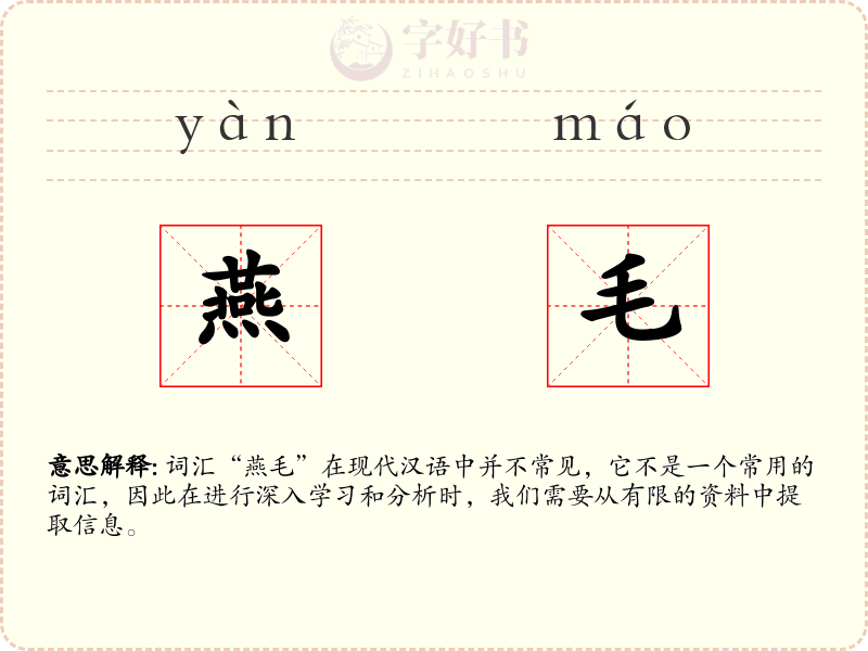 燕毛