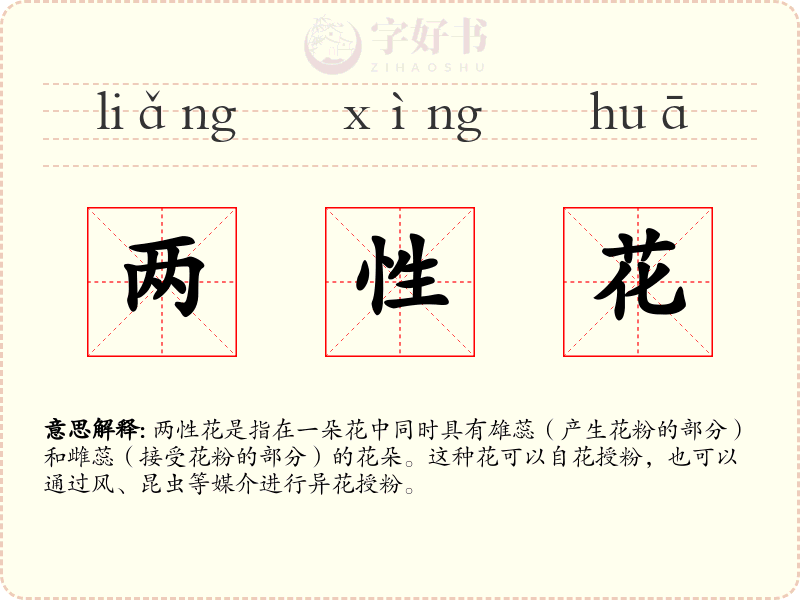 两性花