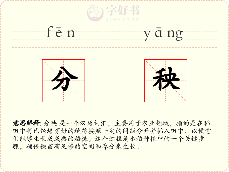 分秧