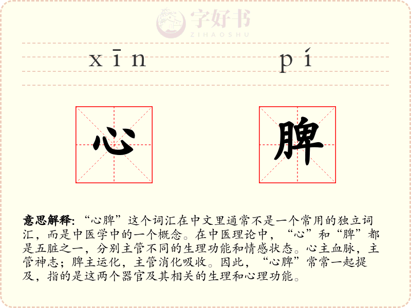 心脾