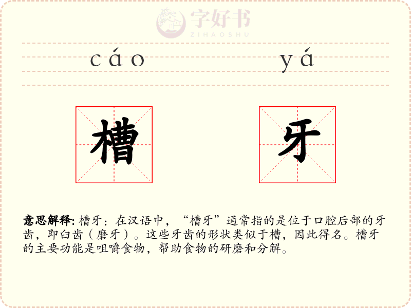 槽牙