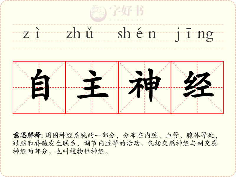自主神经