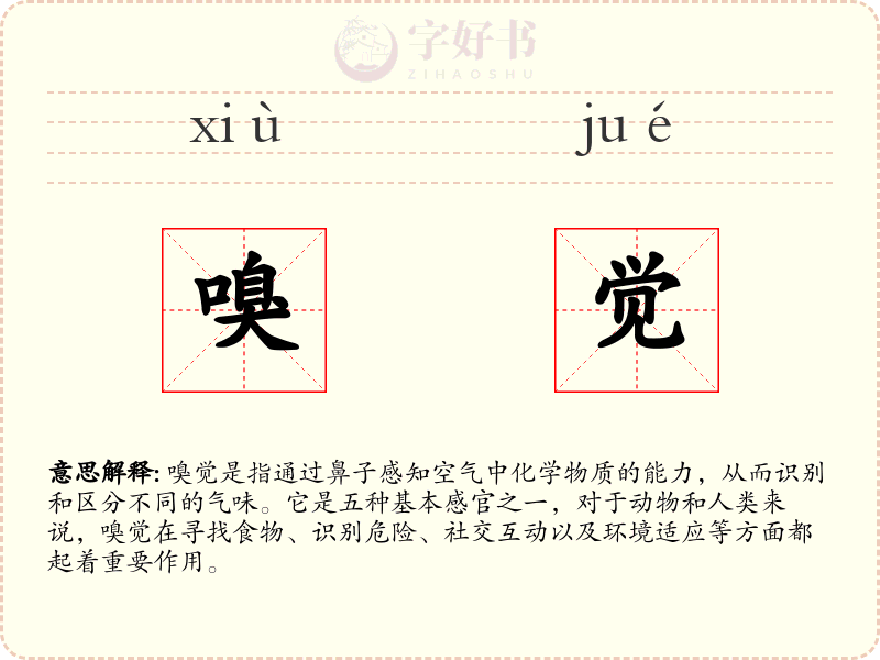 嗅觉