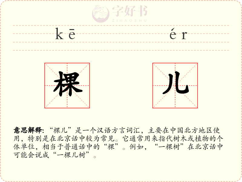 棵儿