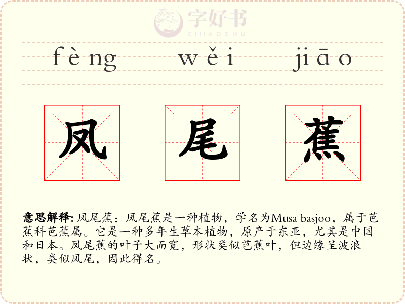 凤尾蕉