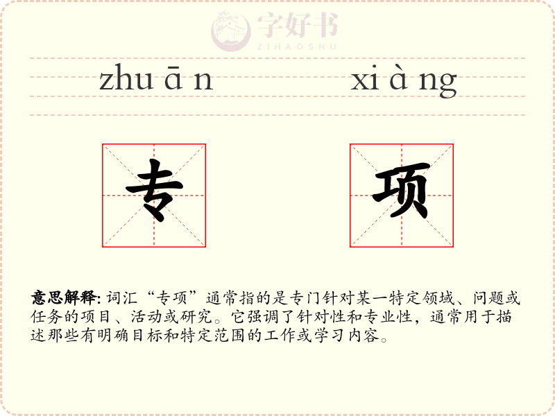 专项