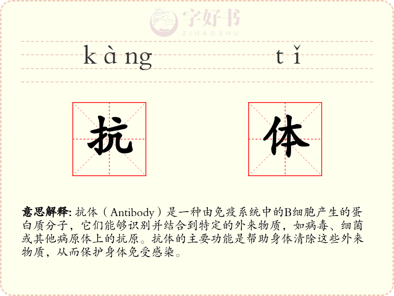 抗体