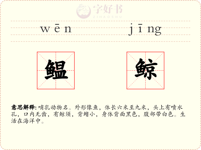 鳁鲸