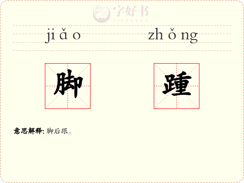 脚踵