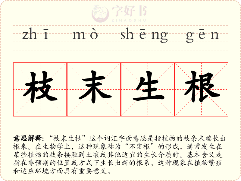 枝末生根
