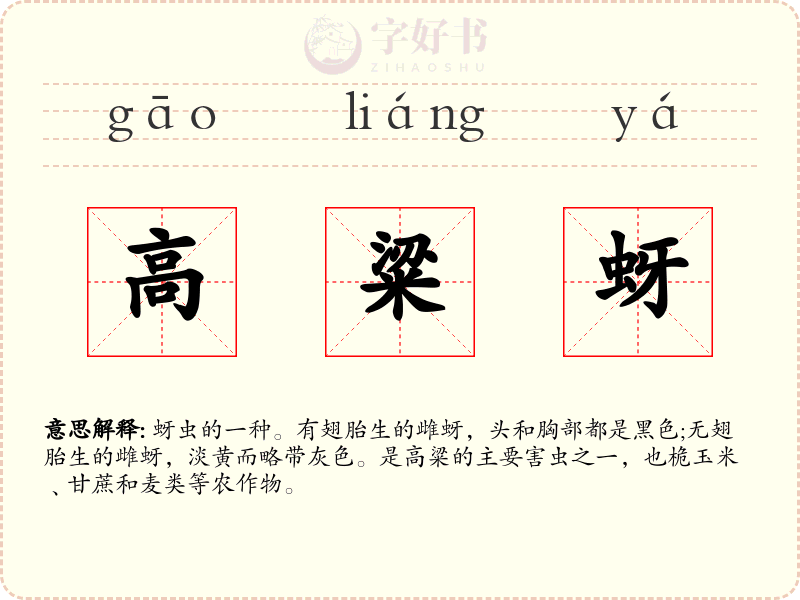 高粱蚜