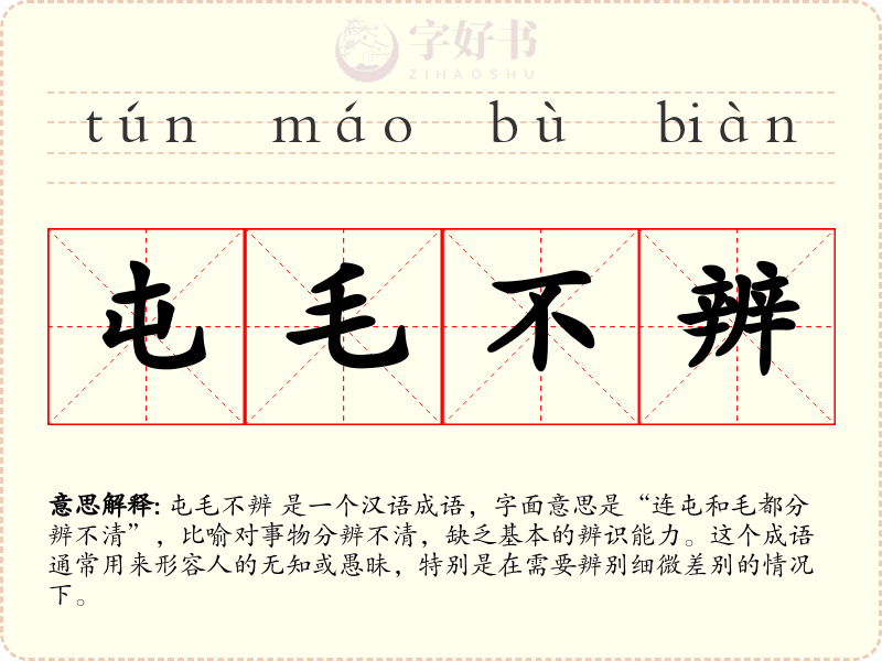 屯毛不辨