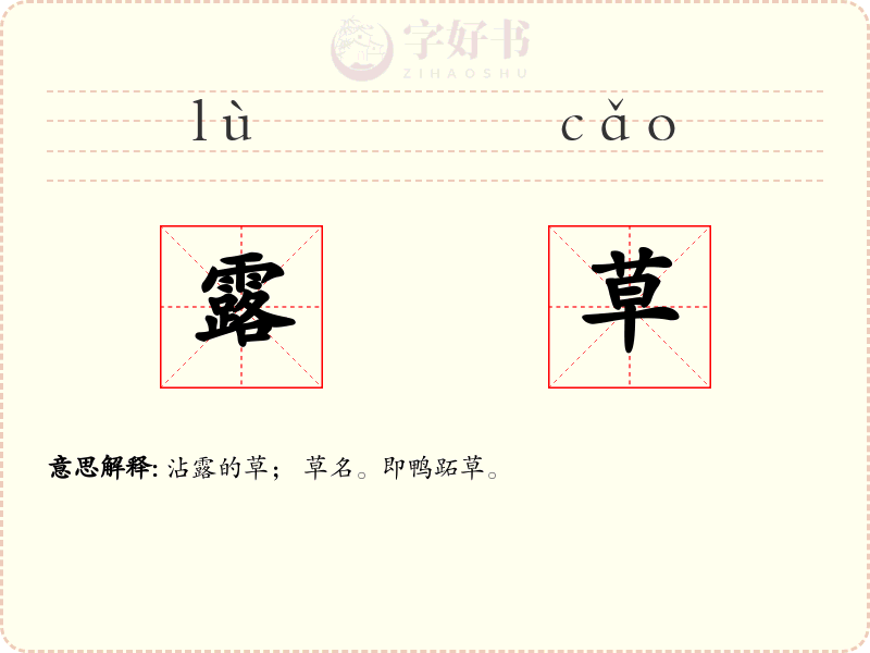 露草