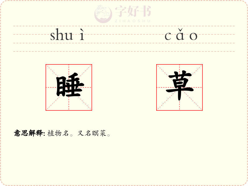 睡草
